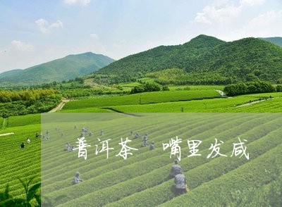 普洱茶 嘴里发咸/2023041020716